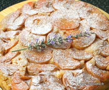 gateau_abricots__5_.JPG