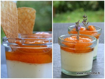 panna_cotta_abricots1.jpg