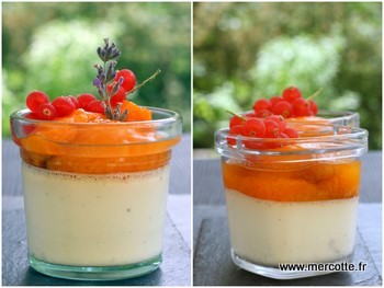 panna_cotta_abricots2.jpg