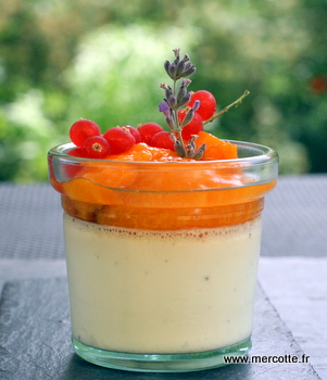 pannacotta_abricots_r__tis____la_vanille_.JPG