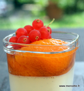 pannacotta_abricots_r__tis____la_vanille___9_.JPG