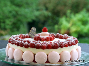 entremets_framboise_passion__4_.JPG