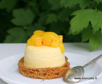 cheesecake_passion__1_.JPG
