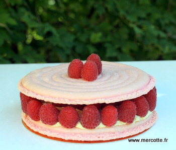 Macaron Framboise King Size Comme Un Gateau La Cuisine De Mercotte Macarons Verrines Et Chocolat