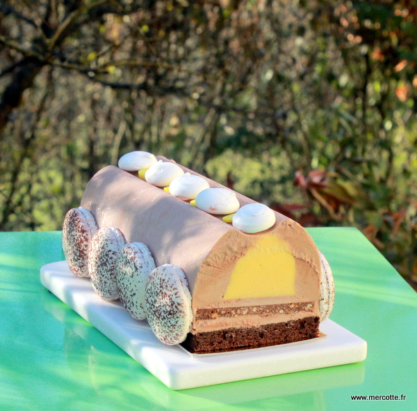 Bûche de Noël 2013 douce et acidulée – La cuisine de Mercotte