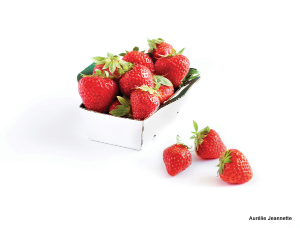 1_fraises.jpg