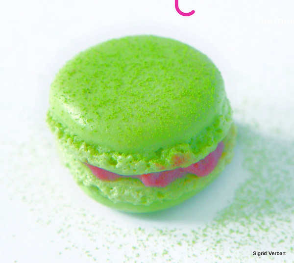 Premi__re_de_couv____Solution_macaron.jpg