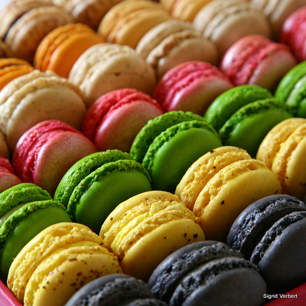 plateaude_macarons_1.jpg