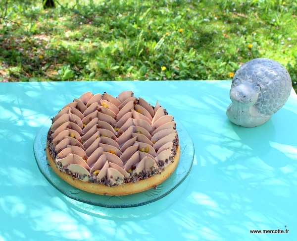 Tarte Chocolat Au Lait Fruit De La Passion La Cuisine De Mercotte Macarons Verrines Et Chocolat