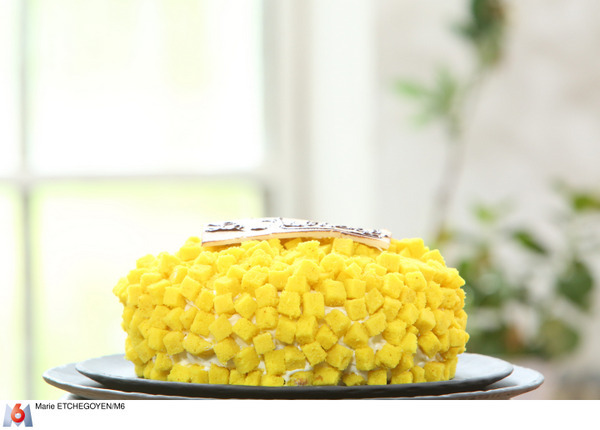 Le Mimosa Epreuve Technique 7e Semaine Du Meilleur Patissier Saison 5 La Cuisine De Mercotte Macarons Verrines Et Chocolat
