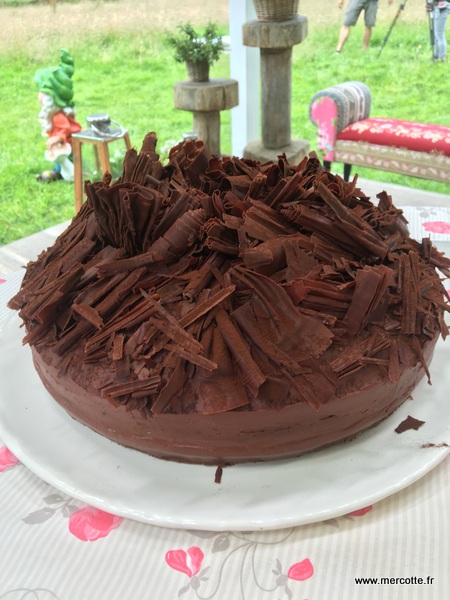 Le President Le Meilleur Patissier Celebrites Episode 3 La Finale La Cuisine De Mercotte Macarons Verrines Et Chocolat