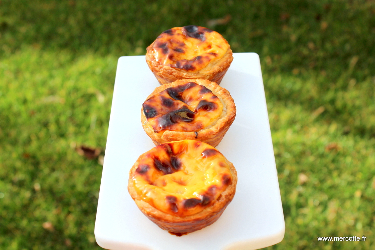 Moule à Pasteis de Nata x 10