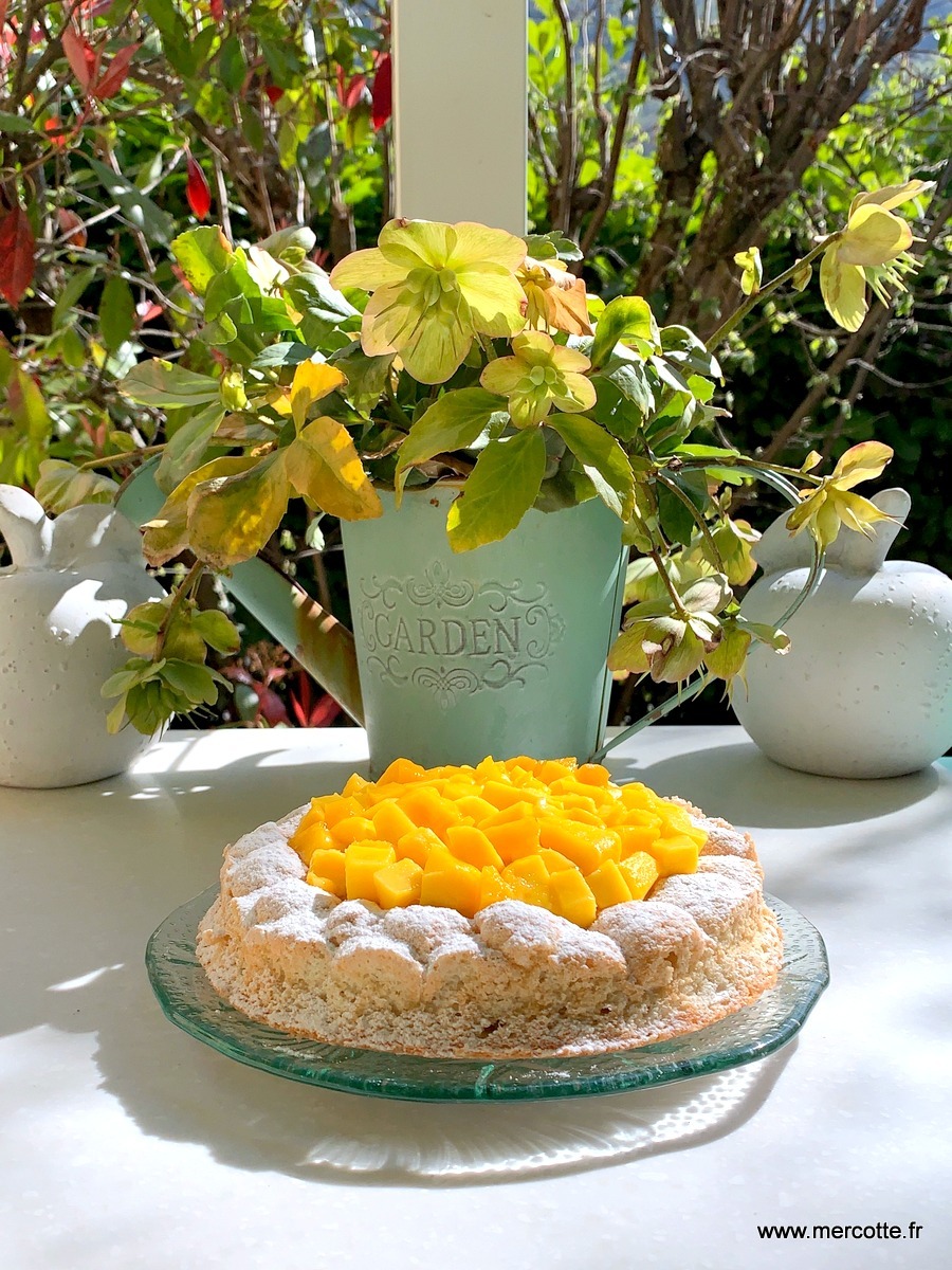 Gâteau mangue passion : Il était une fois la pâtisserie