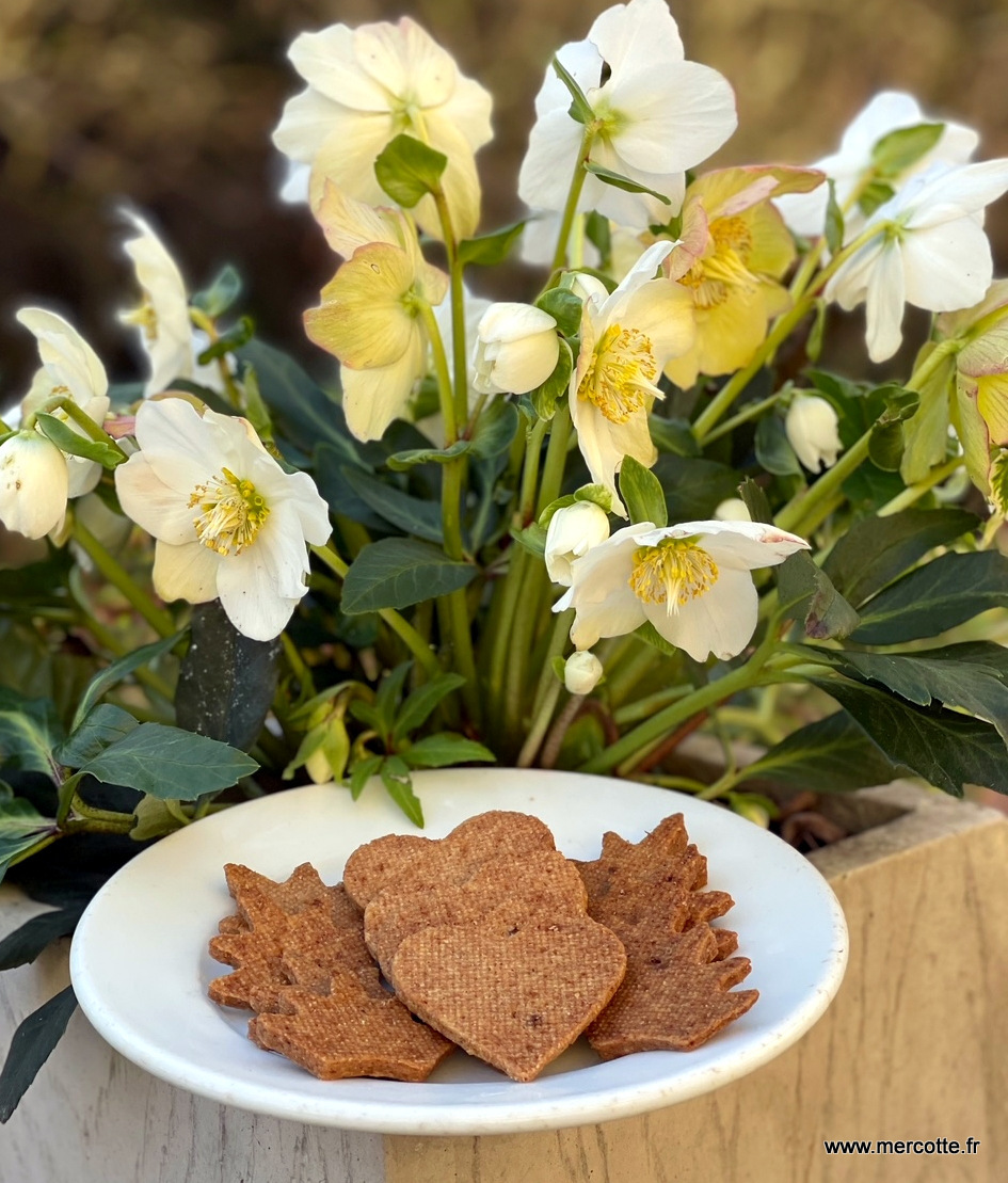 Ma recette de sablés de Noël — Mode and The City