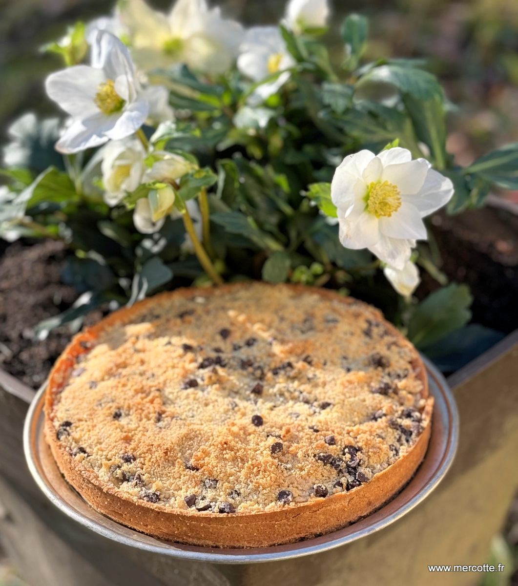 Gourmande ou passionnée: Gâteau aux poires à la vergeoise